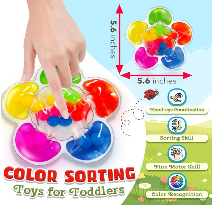 Color Classification Sensory Toys